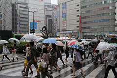 Le parapluie : en vente partout au Japon