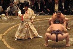 Appréciez un tournoi de sumo au Ryogoku Kokugikan