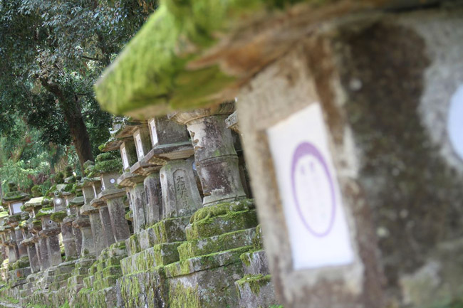 Lanternes en pierre à Nara