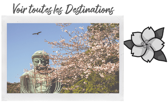 Période de sakura à Kamakura